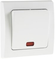 DELPHI Kontroll-Schalter mit L&auml;mpchen - 250V~/ 10A,...