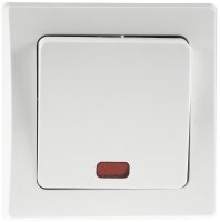 DELPHI Kontroll-Schalter mit L&auml;mpchen - 250V~/ 10A,...