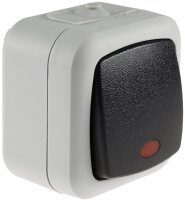 Feuchtraum Kontroll-Schalter, IP44 - 250V~/ 10A, inkl. AP-Rahmen, grau