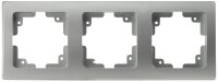 DELPHI 3-fach Rahmen - silber