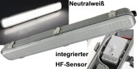LED Deckenleuchte "HORTA", 60cm, IP65 -...