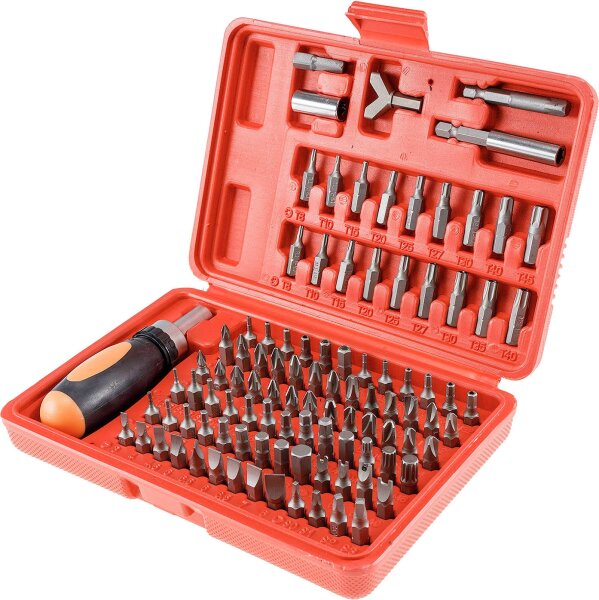 Bitsatz 101-teilig mit Transportbox - 100 Bits und Ratschen-Schraubendreher