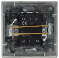 DELPHI Taster mit Namensschild - 0-250V~/ 10A, inkl. Rahmen, UP, wei&szlig;