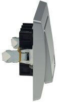 DELPHI Taster mit Namensschild - 0-250V~/ 10A, inkl. Rahmen, UP, silber