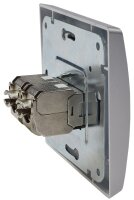DELPHI Netzwerk-Dose 2x CAT6 - inkl. Rahmen, UP, silber