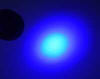 LED-Taschenlampe mit 51 UV LEDs - Schwarzlicht, &Oslash;xL 55x145mm