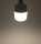 LED Jumbo Lampe E27 50W "G500n" - 4538lm, 4000K,neutralwei&szlig;, &Oslash;xH 12x21,5cm