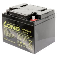 Bleiakku KUNG LONG WP45-12 12V/45Ah, VdS, 198x166x171mm,...
