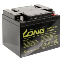 Bleiakku KUNG LONG WP45-12 12V/45Ah, VdS, 198x166x171mm,...