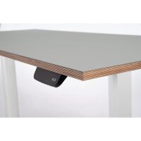Schreibtisch imstande, business-w + Platte 120x60cm Ash