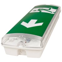 LED-Fluchtwegleuchte McShine FL-511, Wandmontage, IP65,...