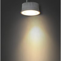 LED-Modul EINLICHT Bronn 2,5W, 450 Lumen, 50x25mm, 3000K, warmwei&szlig;