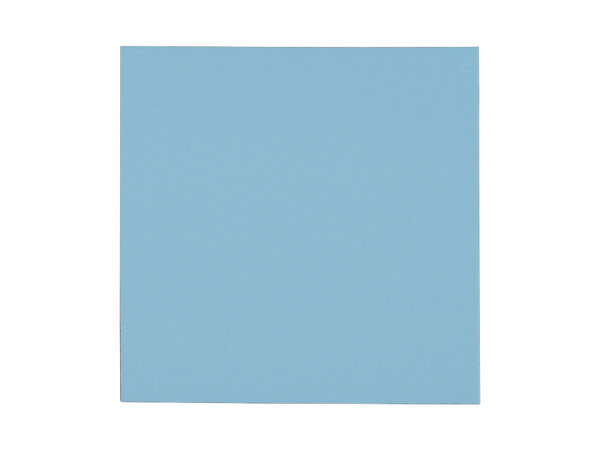 Thermal pad Thermal Grizzly Minus Pad Pro, 100x100x1,5 mm