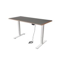 Schreibtisch imstande, business-w + Platte 120x60cm Iron