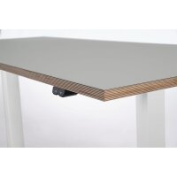 Schreibtisch imstande, Gestell smart-w + Platte 140x60cm Ash