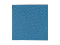 Thermal pad Thermal Grizzly Minus Pad Advance, 100x100x1...