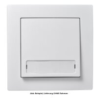 Taster McPower Flair mit Namensschild, 250V~/10A, UP,...